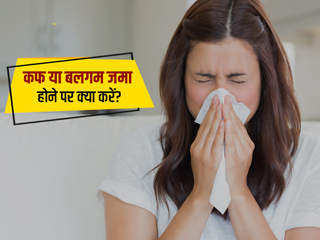 सीने में बलगम या कफ जमा होने पर खाएं ये 7 फूड्स, जल्द दूर होगी समस्या