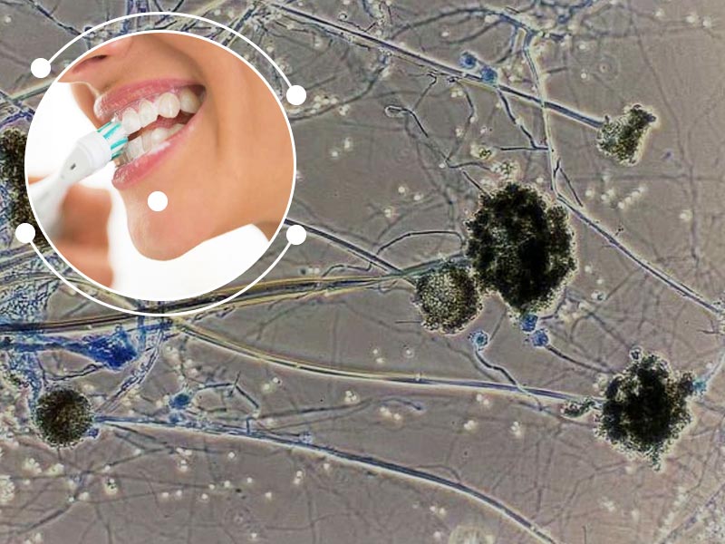 Prevent Black Fungus Or Mucormycosis With These 8 Oral Hygiene Tips