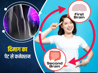 आपके पेट और मस्तिष्क का आपस में क्या है कनेक्शन? समझें कैसे एक-दूसरे को प्रभावित करते हैं ये