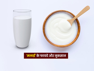 मलाई खाने के 11 फायदे और 6 नुकसान जानें एक्सपर्ट से
