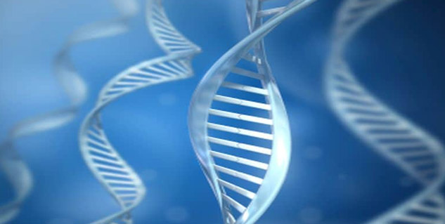 genetic-testing-method