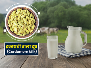 इलायची दूध (Elaichi Milk) के 6 फायदे और 4 नुकसान