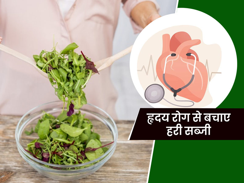 हृदय रोग से बचने के लिए रोज खाएं एक कटोरी हरी सब्जी, जानें इस रिसर्च पर डॉक्टर की राय