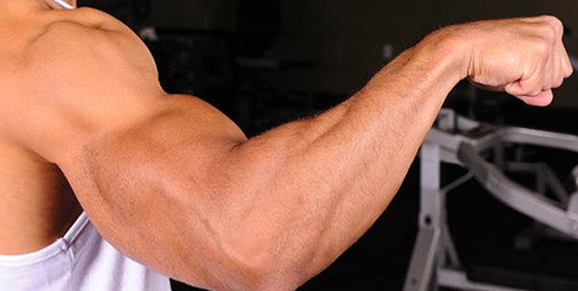 forearm