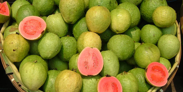 guava for eyes 