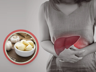 ज्यादा लहसुन खाने से लिवर को पहुंच सकता है नुकसान, डॉक्टर से जानें एक दिन में कितना लहसुन खा सकते हैं