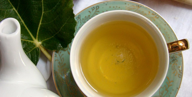 fig leaves tea