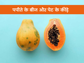 पपीते के बीज पेट के कीड़ों से दिलाते हैं छुटकारा, डॉक्टर से जानें पपीते के बीज खाने के फायदे
