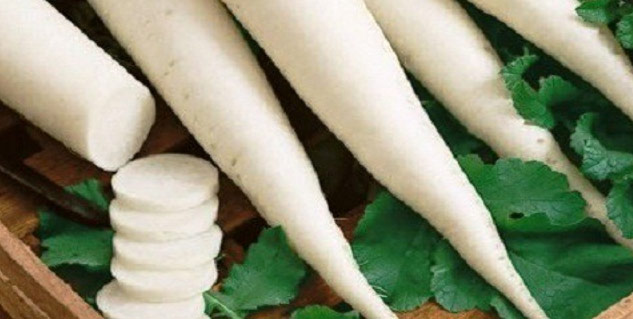 radish