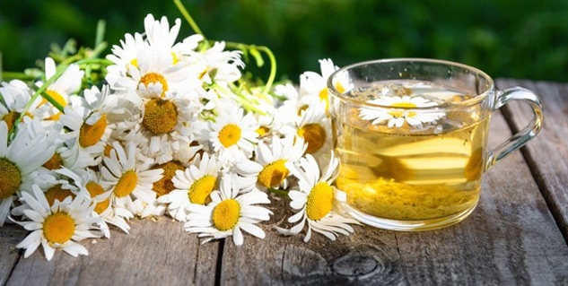 Insidechamomiletea