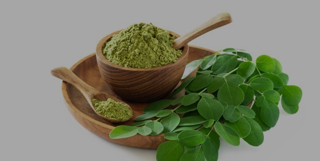Insidemoringa