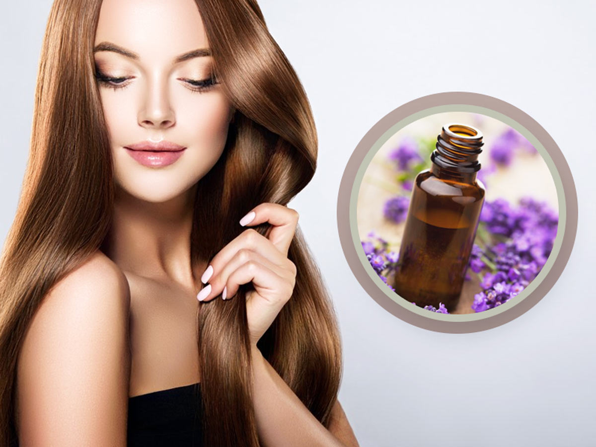 Intimify Lavender oil for hair Hair growth oil Skin oil for healthy hair  scalp and smooth skin 100 Natural in 30ml Pack of 1