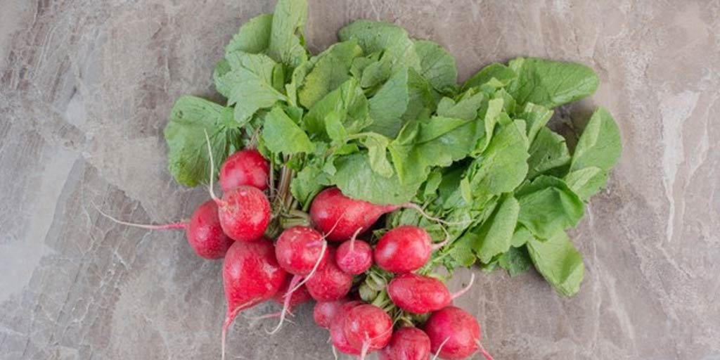 Turnip leaves health benefits in hindi इन 5 पोषक तत्वों से भरपूर होते हैं शलगम (शलजम) के पत्ते