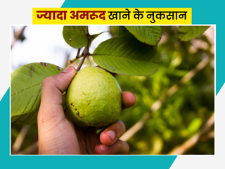 ज्यादा अमरूद खाने से सेहत को हो सकते हैं ये 5 नुकसान