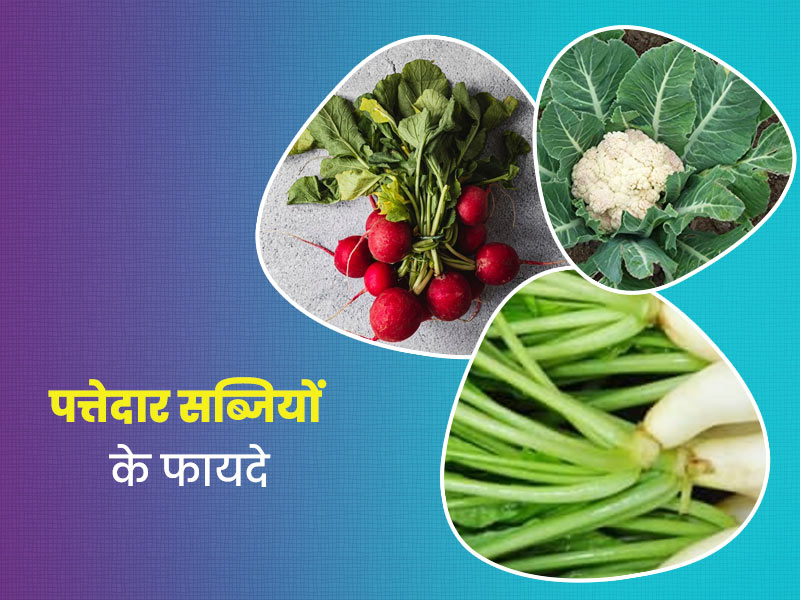 बेकार नहीं हैं गोभी, चुकंदर और मूली जैसी सब्जियों के पत्ते, जानें दिल की सेहत के लिए इन्हें खाने के खास फायदे