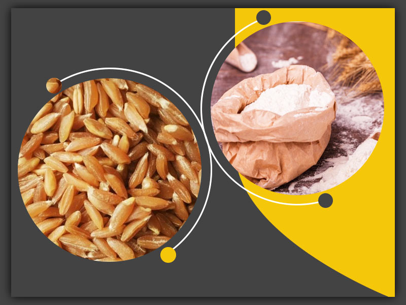 5 Reasons Why Switching To Khapli Wheat Flour Over Normal Flour Is Good For Health