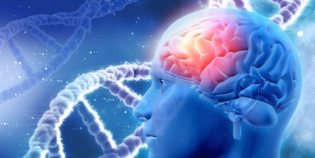 Inside3AlzheimerandDementia