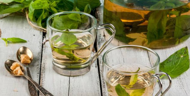 tulsi tea