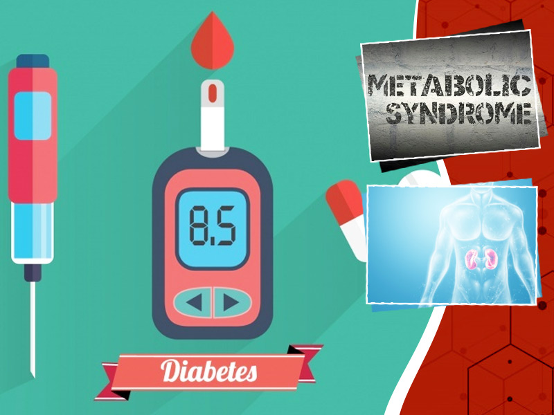 World Diabetes Day 2021: Understand How Diabetes Affects Various Organs in The Human Body