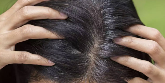 Insidegreyhairs