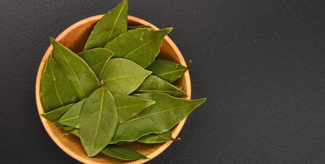 Insidebayleaf