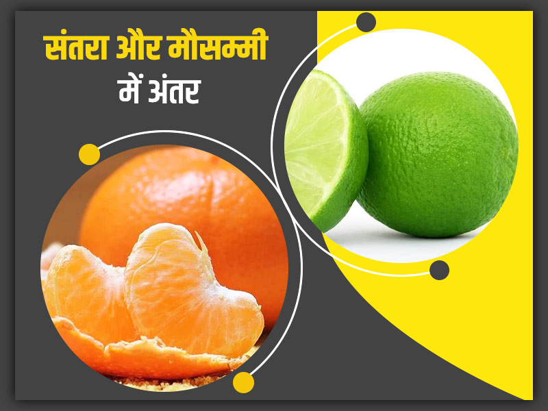 Benefits of mosambi juice clearance in hindi