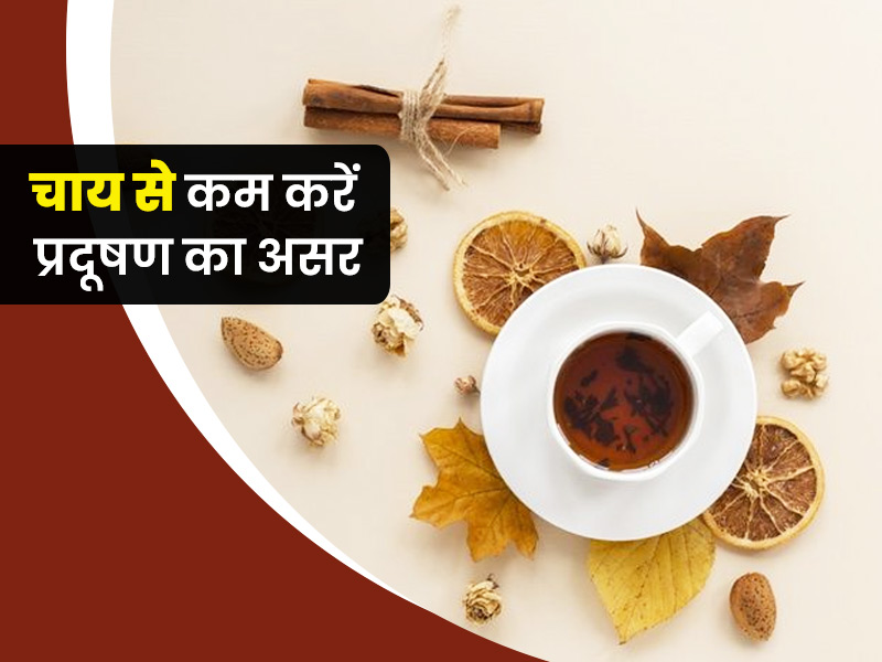 वायु प्रदूषण के असर को कम करने के लिए रोज की चाय में मिलाएं ये 5 चीजें