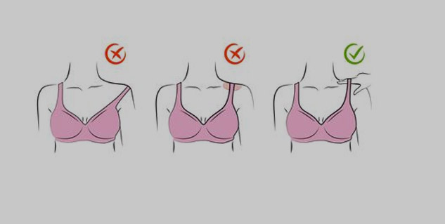 Inside3howtocheckcorrectbreast