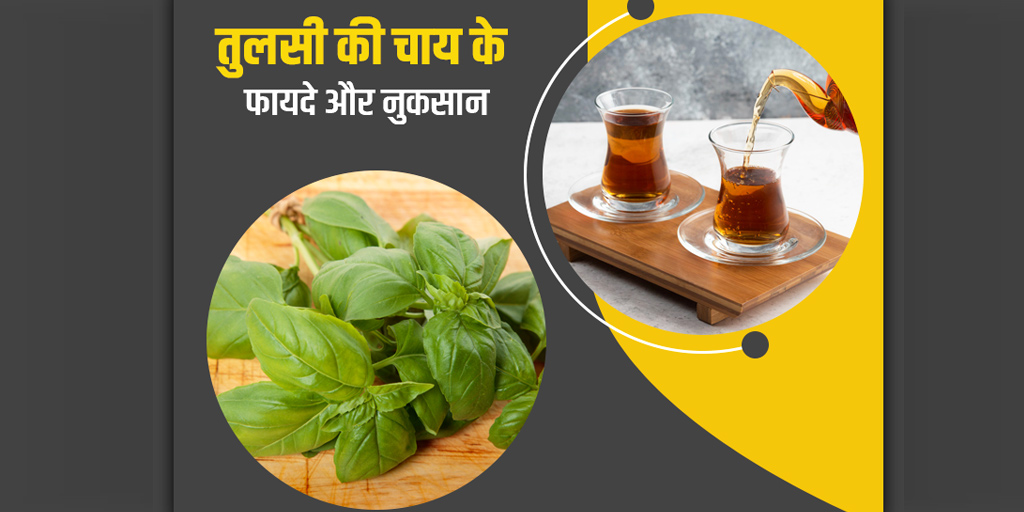 basil tea benefits side effects in hindi। तुलसी की चाय के फायदे और
