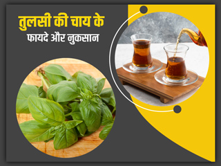 रोजाना तुलसी की चाय पीने के फायदे और नुकसान