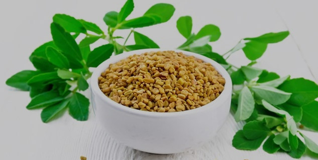 Fenugreek-Or-Methi-Laddu