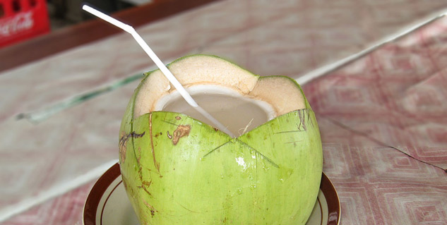 coconut water for dengue patients