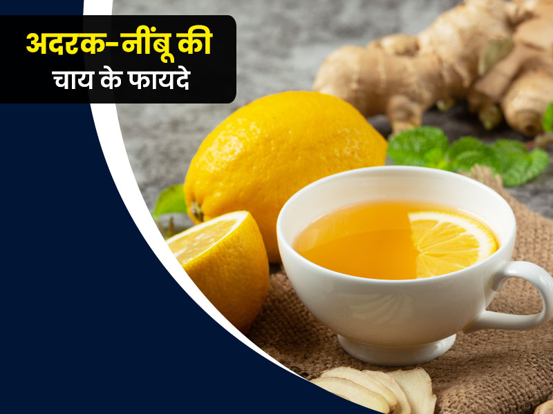 Lemon Ginger Tea: सर्दियों में अदरक नींबू की चाय पीने के फायदे और नुकसान