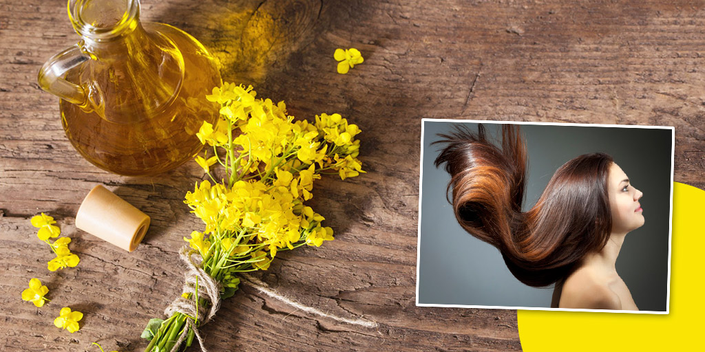 Canola Oil For Hair Know How To Use Benefits कैनोला ऑयल से बनेंगे बाल