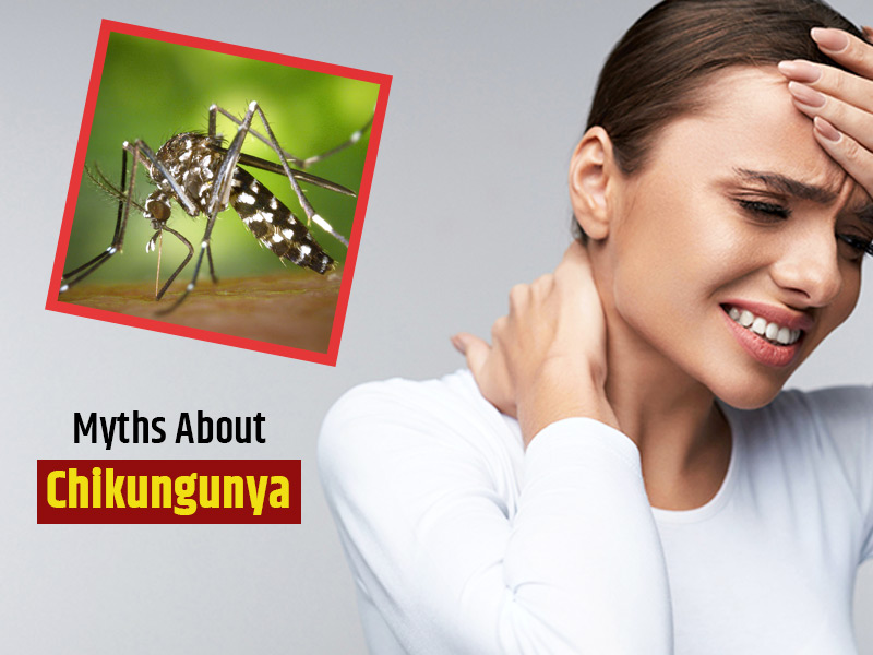 6 Myths About Chikungunya That Will Leave You Surprised