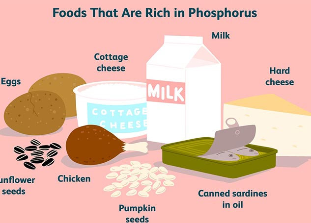 phosphorus food