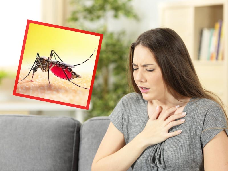 डेंगू होने पर महसूस हो सकती हैं ये 6 समस्याएं, डॉक्टर से जानें इसके लक्षण और बचाव के उपाय 