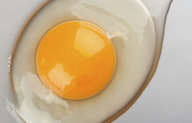 क्या आप खा रहे हैं स्वस्थ मुर्गी का अंडा? अंडे की जर्दी (Egg Yolk) के