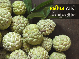 कस्टर्ड एप्पल खाने के हो सकते हैं ये 5 नुकसान, जानें कैसे और कब खा सकते हैं 