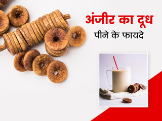 सेहत के लिए फायदेमंद है अंजीर का दूध, जानें इसे पीने के 4 फायदे