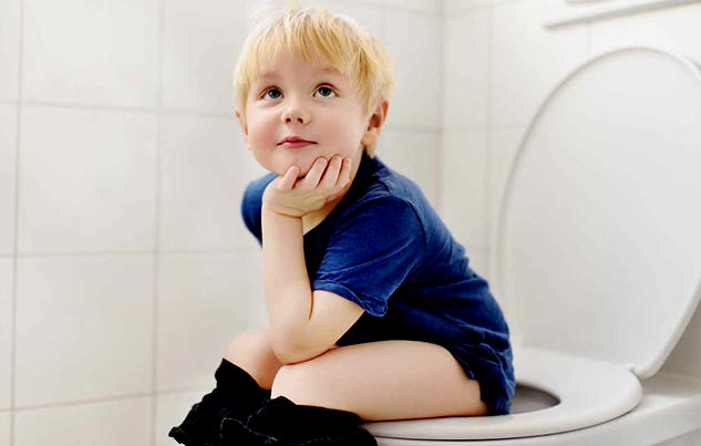 inside2toilethygiene