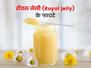 कोलेस्ट्रॉल कम करने में मददगार है रॉयल जेली (Royal jelly), जानें क्या है ये और क्यों है सेहत के लिए लाभकारी