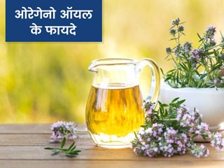 सर्दी-जुकाम से बचाने में मददगार है ओरेगेनो तेल (Oregano Oil), जानें इसे इस्तेमाल करने का सही तरीका और फायदे
