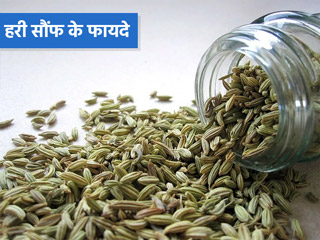 हरी सौंफ खाने से सेहत को मिलते हैं ये 10 फायदे, जानें कैसे और कब खाएं सौंफ