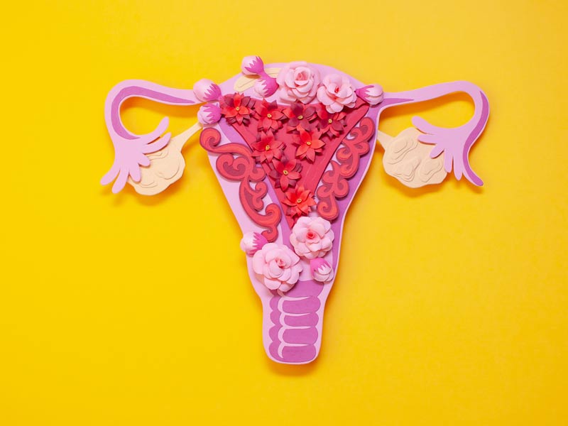 From Causes To Treatment Know Everything About Endometriosis From the Expert