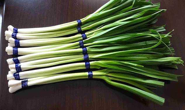 garlic leaves benefits in hindi