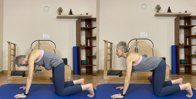 Is Pilates Good for Arthritis?, Combat the Symptoms With Pilates