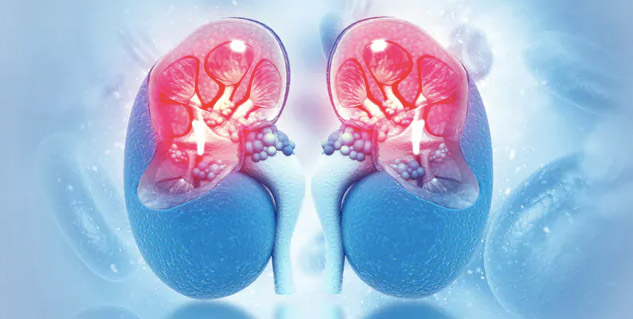 what is a high creatinine level