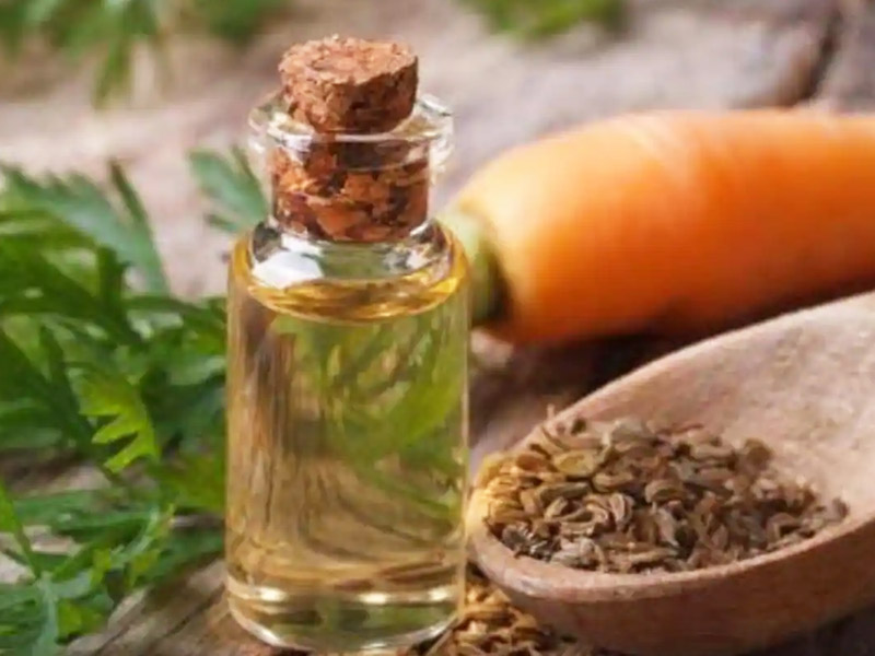 Learn About 5 Benefits Of Carrot Seed Oil From Expert