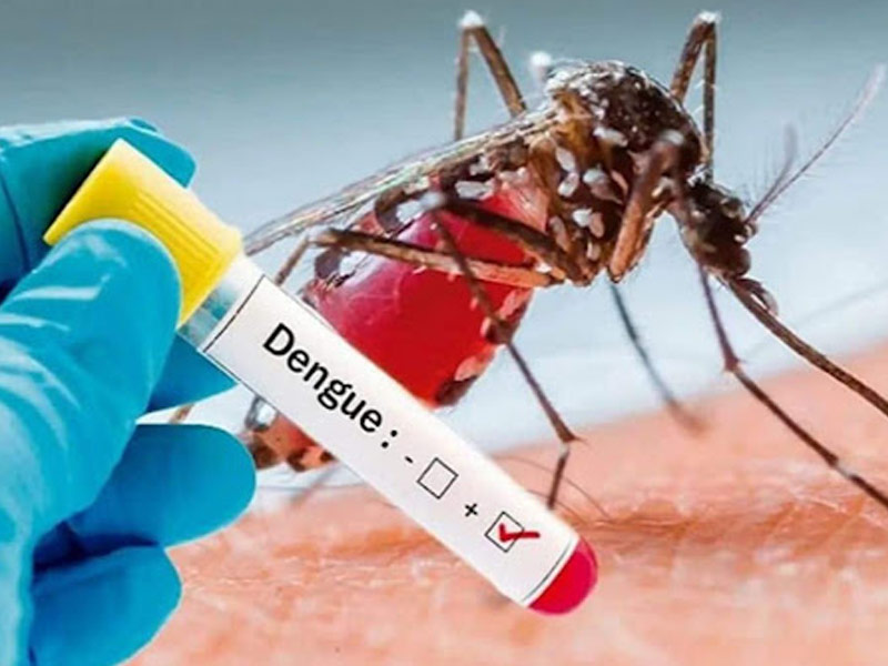 Know About 7 Warning Signs Of Dengue Fever From The Expert